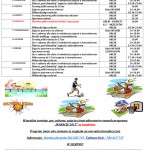 Wakacje 2015 program2