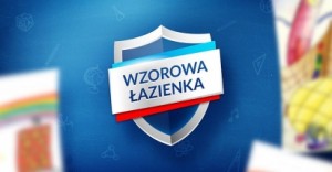 411x0_wzorowa-lazienka-logo